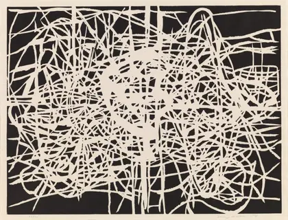 Figure 3: Terry Winters, Rhizome, 1998, Smithsonian American Art Museum